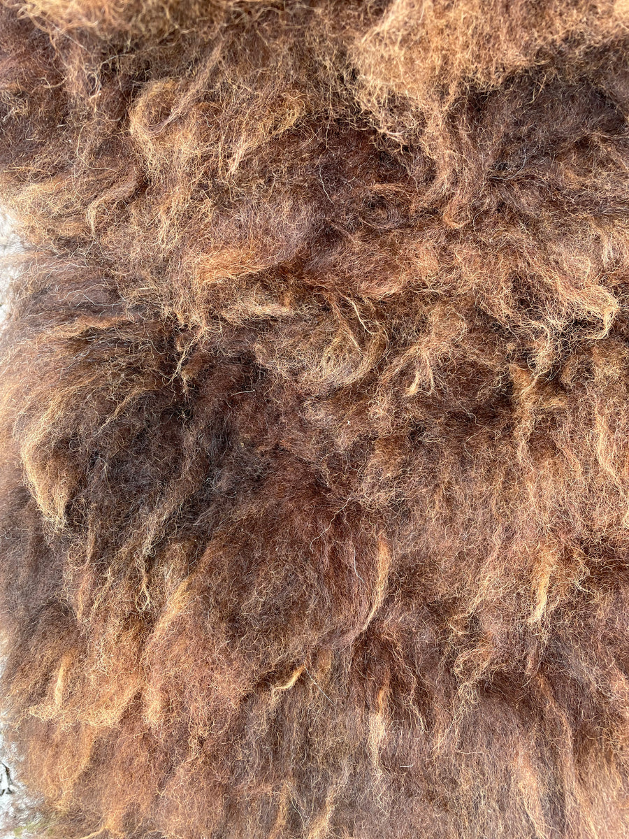 Churro Sheep Hide 6 – Wildom