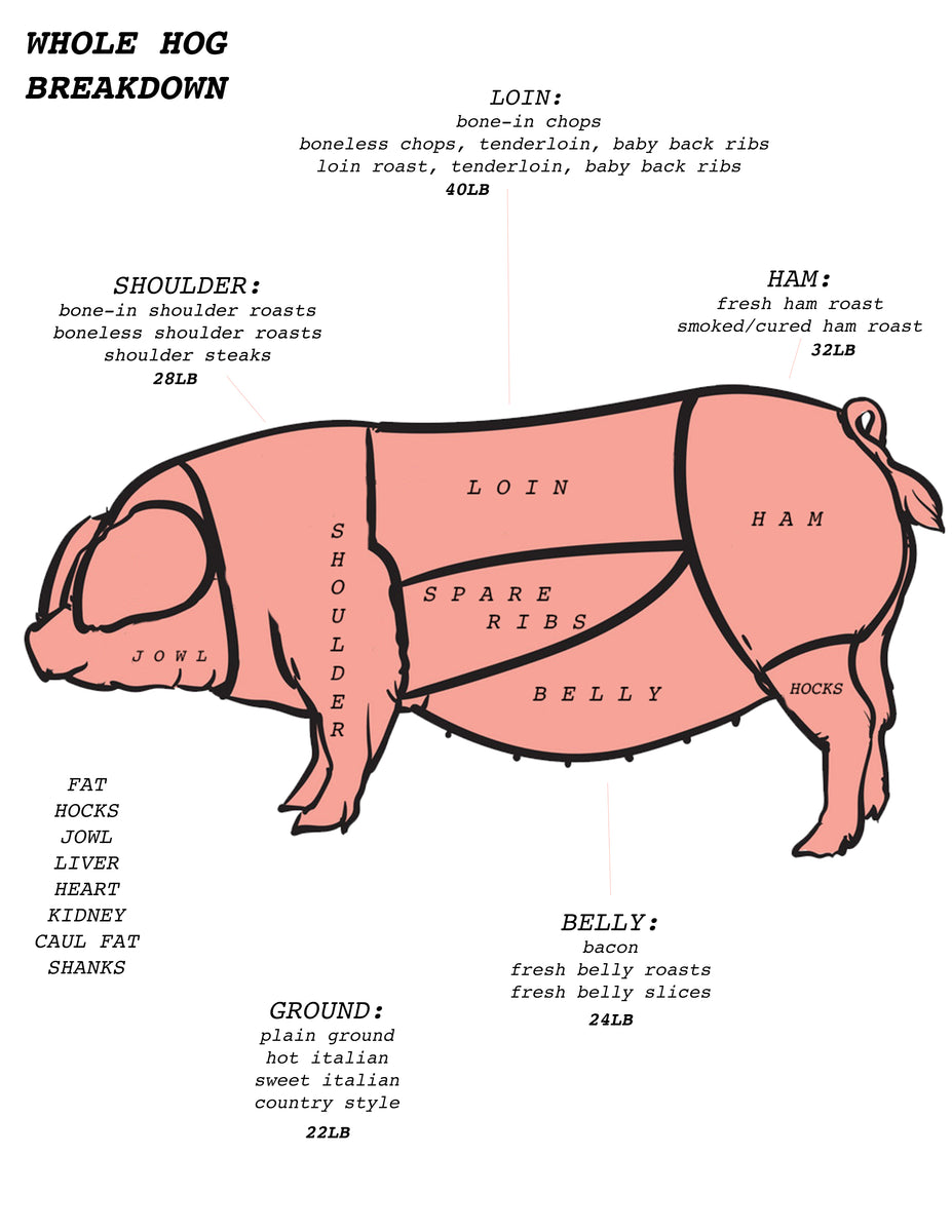 WHOLE HOG / HALF HOG / QUARTER HOG DEPOSIT - FALL 2024 – Wildom